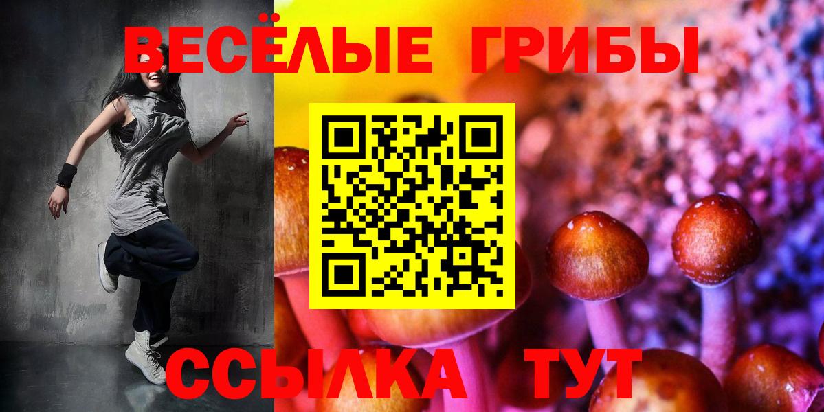 Псилоцибиновые грибы ЛСД Сунжа